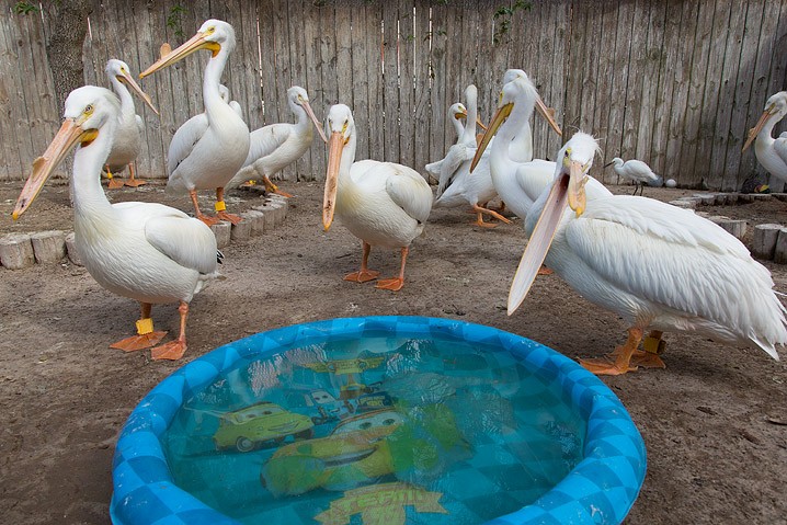 Reportage Seabird Sanctury